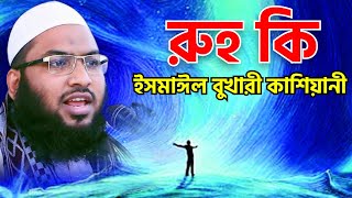 রুহ কি  রুহ কাকে বলে  রুহ কি জিনিস  ইসমাঈল বুখারী কাশিয়ানী ওয়াজ  Ismail Bukhari Kashiani Waz [upl. by Morly640]