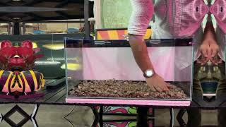 How to set up a fish tank Setting up a fish tank Setting up your first aquarium fishtank fish [upl. by Eceinahs]