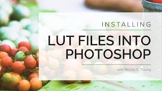 Applying LUT Files in Photoshop [upl. by Nhguaved974]