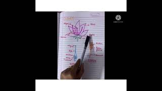 Getting to know Plants 6th Science [upl. by Ravo]