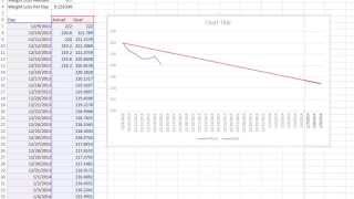 Tracking Your Weight Loss Goal With Excel  Logical Weight Loss [upl. by Senskell]