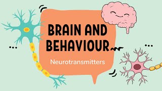 IB Psychology – Neurotransmission and Neurotransmitters [upl. by Hauhsoj]