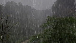 Fall Asleep Instantly with Soothing Rain ASMR  Rain Sounds For Sleeping Go on [upl. by Noman410]