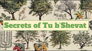 Secrets of Tu bShevat [upl. by Noswad688]