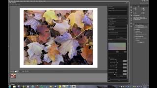 How to Print Photos on the Canon Pixma PRO100 from various Sources [upl. by Clarance]