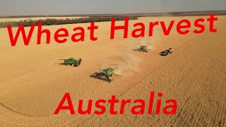 Australian Wheat Harvest 2023 QLD [upl. by Eelarbed]