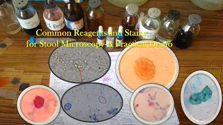 Common Reagents and Stains for Stool MicroscopyA Practical Demo [upl. by Kampmeier746]