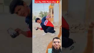 Cat Nay Milk Phenk Diya 🤔 viralshort lifechanging viralvideo [upl. by Araiet]