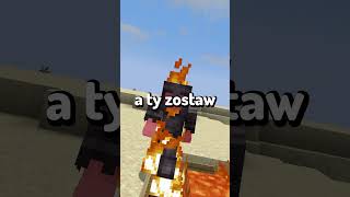 Najbardziej Nielogiczne Rzeczy W Minecraft 83 shorts [upl. by Mikey]