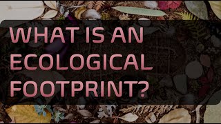 What is an Ecological Footprint [upl. by Iblok715]