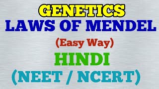 Genetics  Laws of Mendel Easy Way Hindi [upl. by Carmel]