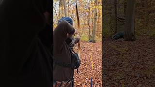 Field Archery  Badger behind Tree archery bowhunting sunnah [upl. by Goetz713]