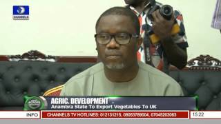 Anambra State To Export Vegetables To UK [upl. by Laup]