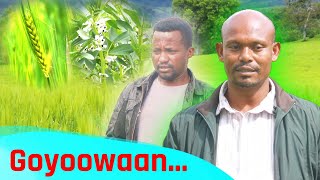 Goyoowaan  Xallee Dubbiyooch  Kafi Televizhiino  ካፋ ቴሌቪዥን  Kaffa Television [upl. by Ahsatan]