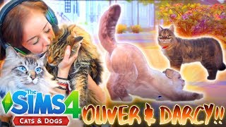 NEW 🐱🐶 SIMS 4 CATS amp DOGS MAKING THE CATS 😻😸 [upl. by Service]