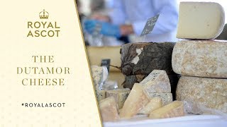 Introducing the Dutamor cheese at Royal Ascot [upl. by Kelcie781]