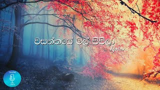 Wasanthaye Mal Pipila  වසන්තයේ මල් පිපිලාlyrics Official video Chithralsomapla lyrics [upl. by Ayra590]