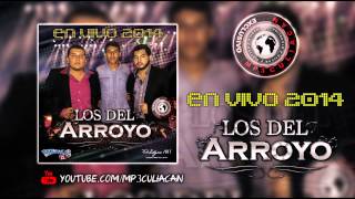 Los Del Arroyo  Sinaloense Hecho y Derecho En Vivo 2014 [upl. by Jim]