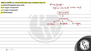 RNA and DNA are chiral molecules their chirality is due to a Chiral Phosphate ester units b [upl. by Ciri236]