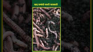 अच्छी खेती के लिए केंचुआ खाद बेहद आवश्यक है जानिए किसान से Vermicompost Organic Farming shorts [upl. by Hara645]