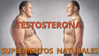 QUÉ SUPLEMENTOS NATURALES AUMENTAN TU TESTOSTERONA SIN FUERZA DE VOLUNTAD [upl. by Petrie519]