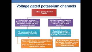 Potassium Regulation Potassium Reabsorption [upl. by Nadia121]