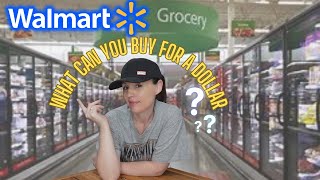 Extreme 1 Walmart Food Haul What Can You Buy [upl. by Tiffa]