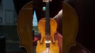 Antonio Stradivari quotGolden Bellquot 1668 Cremona Museum [upl. by Nunci]