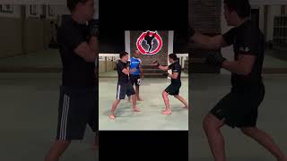 Karate Front Kick by Lyoto Machida [upl. by Schaaff765]