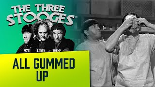 The THREE STOOGES full episodes  Ep 103  ALL GUMMED UP [upl. by Kitchen]