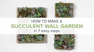 How to Make a Succulent Wall Garden [upl. by Tharp]