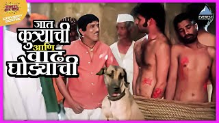 जात कुत्र्याची आणि वाढ घोड्याची  तुमचं आमचं जमलं Tumcha Aamcha Jamla  Dada Kondke Comedy Scene [upl. by Alle]