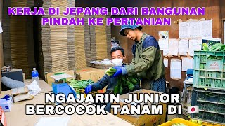 NGAJARIN JUNIORKU NGEPACK HOURENSOUSUSAH BANGET KARNA BELOM PUNYA PENGALAMAN [upl. by Siskind]