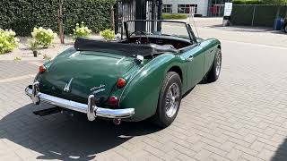 1967 AustinHealey 3000 MK3  Walkaround [upl. by Ede]