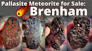 Brenham 226g Pallasite Meteorite for SALE 45bill yrs old Meteorode from Kansas Space Rocks [upl. by Einnek]