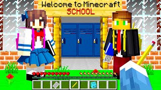 I JOINED A MINECRAFT SCHOOL SERVER [upl. by Dorrahs28]