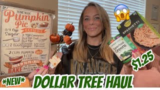 DOLLAR TREE HAUL  NEW  AMAZING BRAND NAME FINDS [upl. by Avid817]