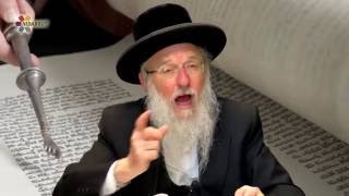 Learning Torah Dating from 3000 Years Ago  Rabbi Dr David Gottlieb [upl. by Gabor]