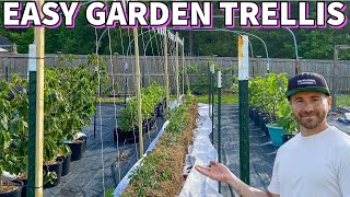 This Easy Cheap GARDEN TRELLIS Will Fit Almost Anywhere [upl. by Storfer]