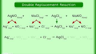 Introduction to Net Ionic Reactions [upl. by Enomaj]