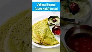 Vallarai Keerai Gotu Kola Dosai  ours 10th video  Thank you for yours support 👍👍 [upl. by Llerdnek720]