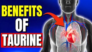 The Benefits of TAURINE 7 Astonishing Benefits You Need to Know [upl. by Ogata364]