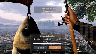 Fishing Planet  Unique Bighead Carp  Sander Baggersee Lake [upl. by Peh]