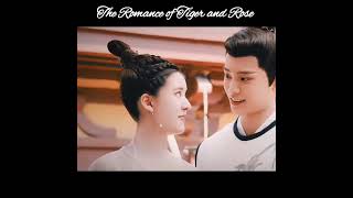 The Romance of Tiger and Rose zhaolusi dingyuxi cdrama chinesedrama shorts [upl. by Niuq1]