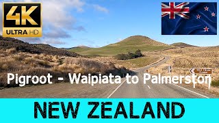 Driving in New Zealand  🇳🇿Pigroot  Waipiata to Palmerston [upl. by Claudell]