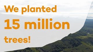 15 million trees planted with Ecosia [upl. by Cornelle]