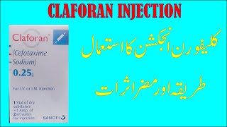 Claforan injection Cefotaxime Injection Uses  Side Effects Dose [upl. by Aimek]