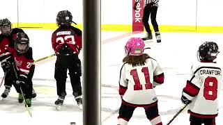 Youth Hockey League November 162024 [upl. by Aikit]