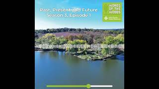 Past Present and Future  Season 3 Episode 1  Words of the Woods [upl. by Ahsertal]