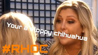 Gina calls Braunwyn a sloppy Chihuahua  Season 15 Episode 3  RHOC [upl. by Nickolai948]